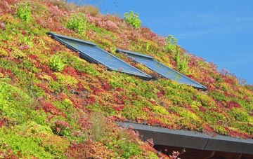 Hatston living roof systems