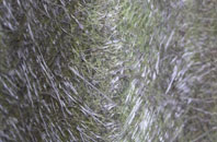 Hatston fibreglass roof work